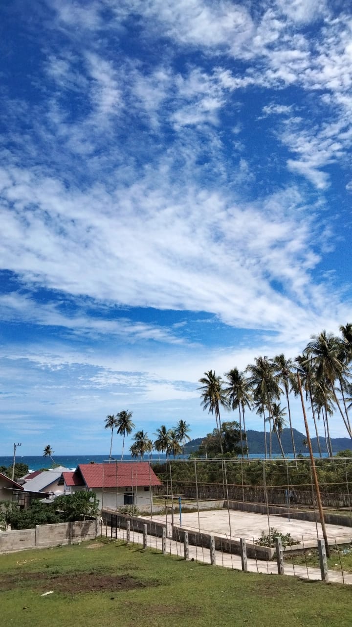 Pemukiman Desa Paloh